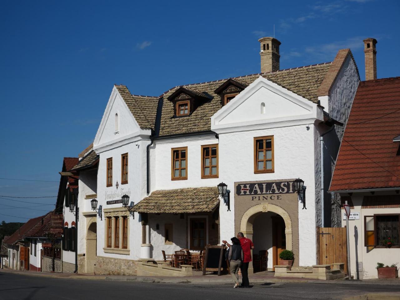 Halasi Pince em Villany