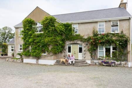 Buvinda à Meath-region