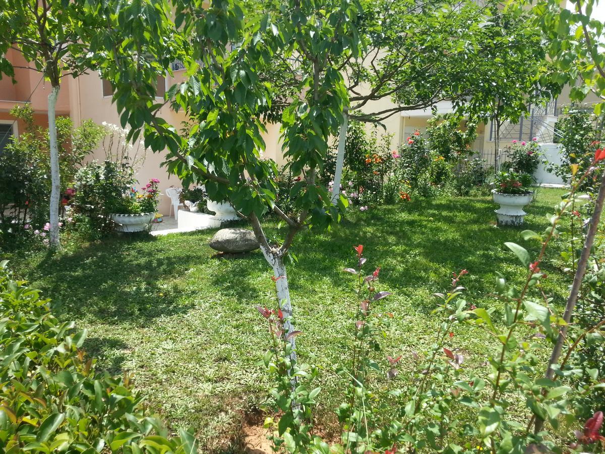 Amazing Place In Pedini