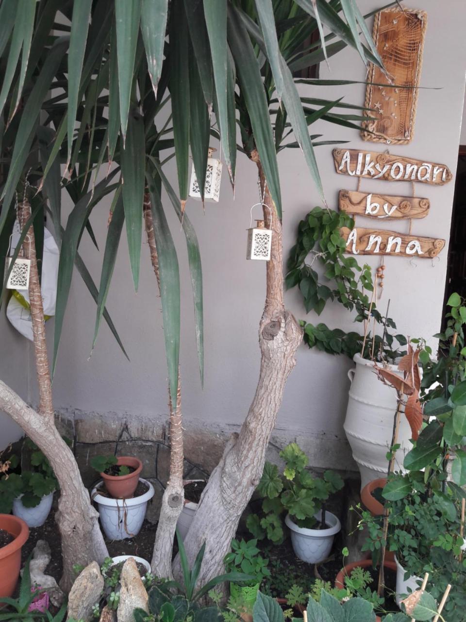 Alkyonari Hotel  - pic #26
