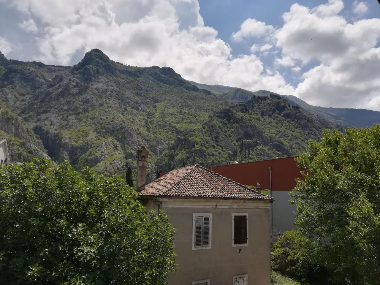 Apartment Nikolic Kotor