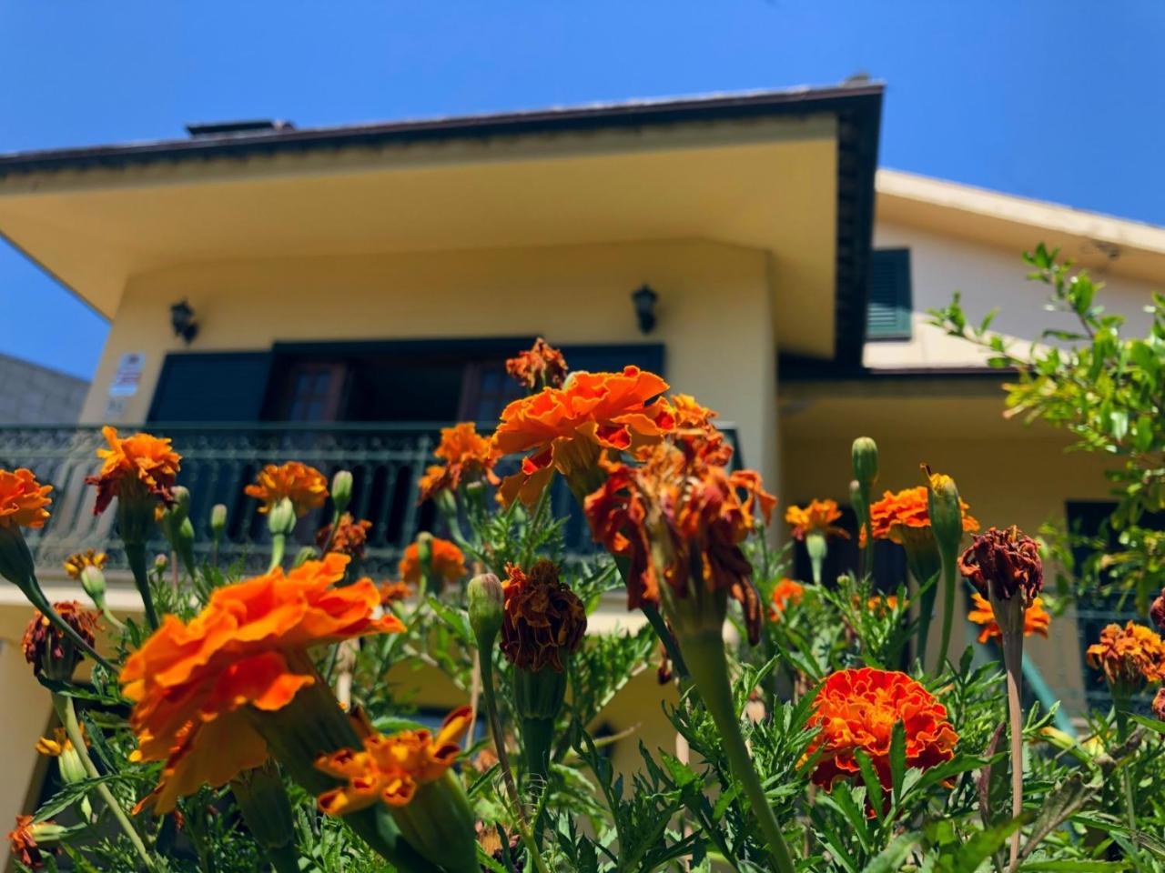 Casa Sao Simao em Barcelos