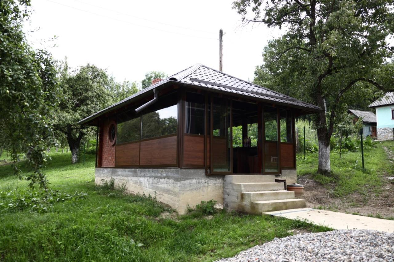 Hățașul Bunicului