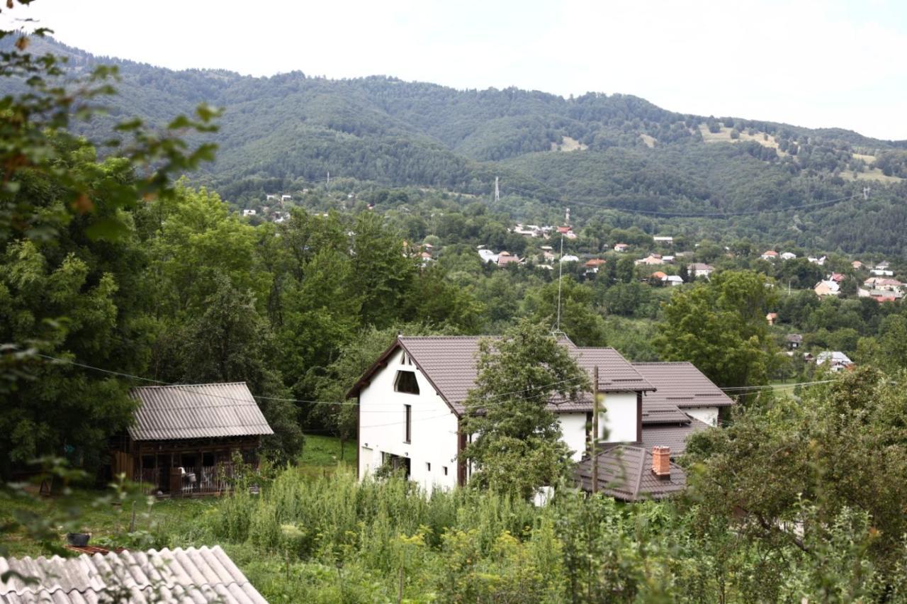 Hățașul Bunicului