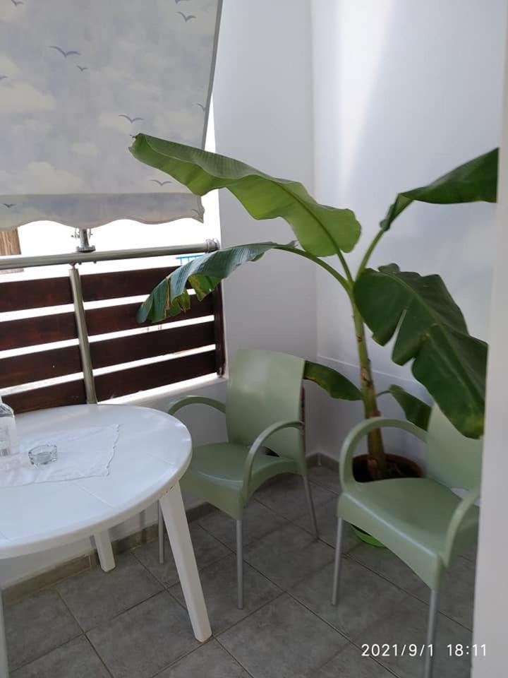 Garifalia Studios 
