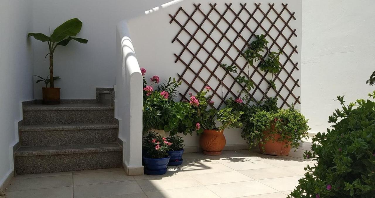 Garifalia Studios 