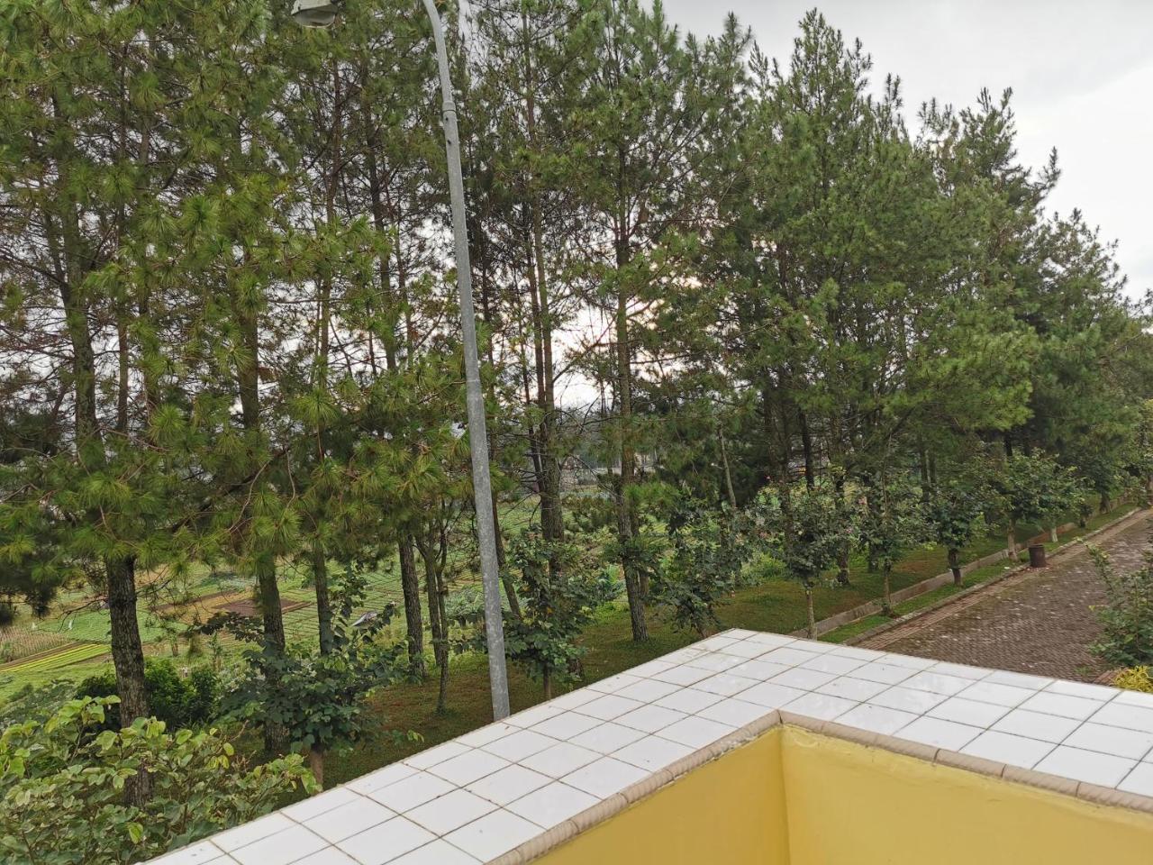 Sewa Villa Kota Bunga 2 Kamar 500ribu Semlm Full Wifi