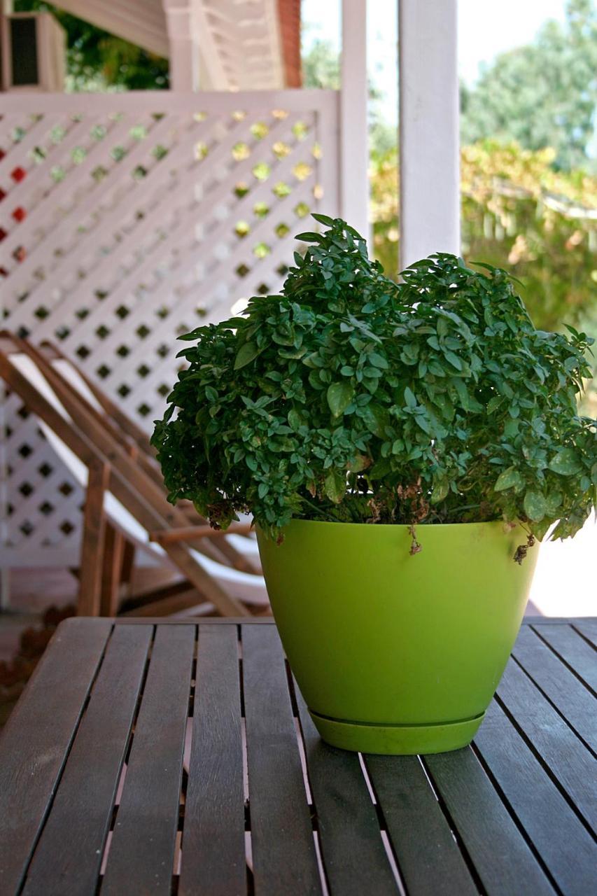 Zefiros Traditional 3 * - pic #20