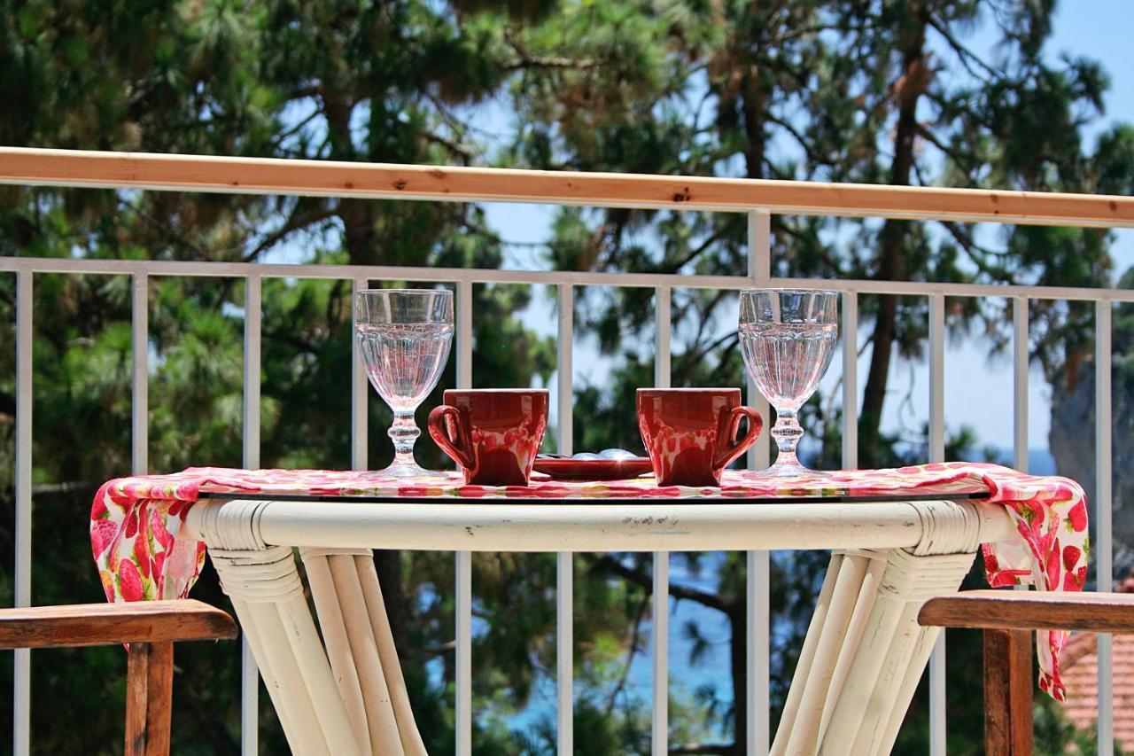 Zefiros Traditional 3 * - pic #23