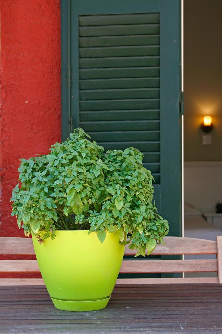 Zefiros Traditional 3 * - pic #8