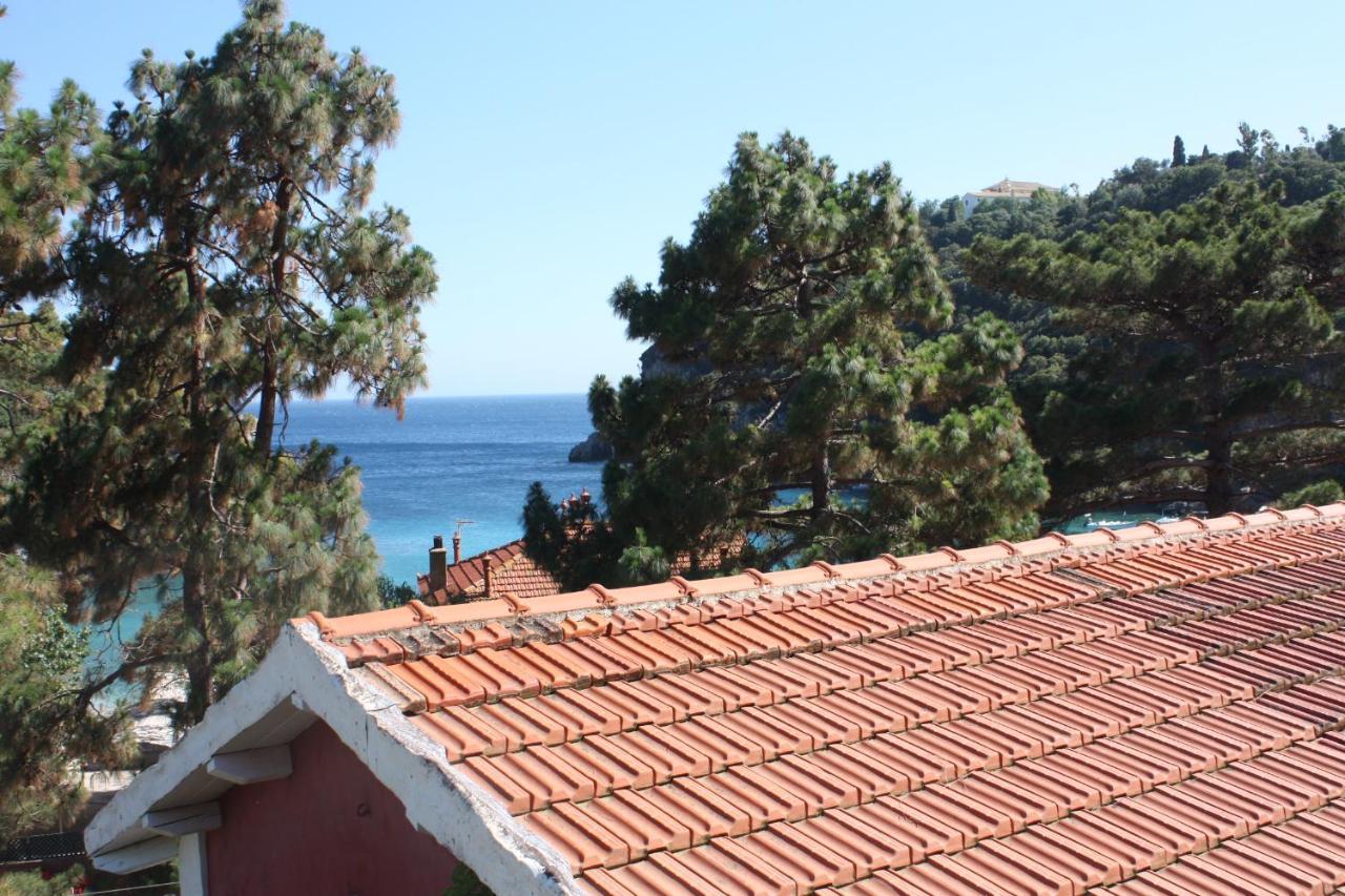 Zefiros Traditional 3 * - pic #26