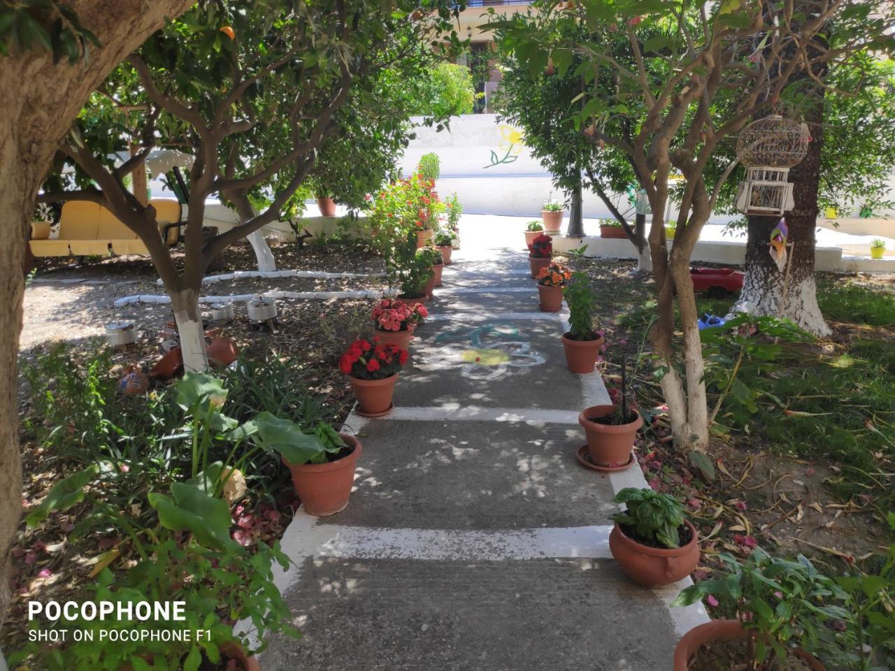 Katerina Apartments (Adults only) Katerina Apartments (Adults only)