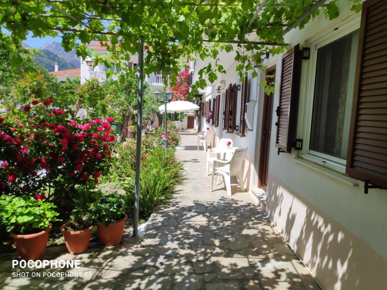 Katerina Apartments (Adults only) Katerina Apartments (Adults only)