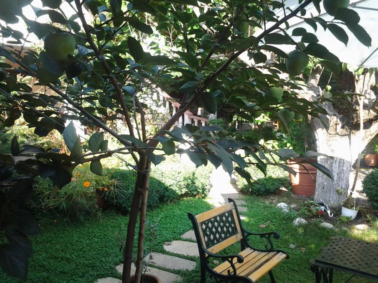 Sofia Rooms 