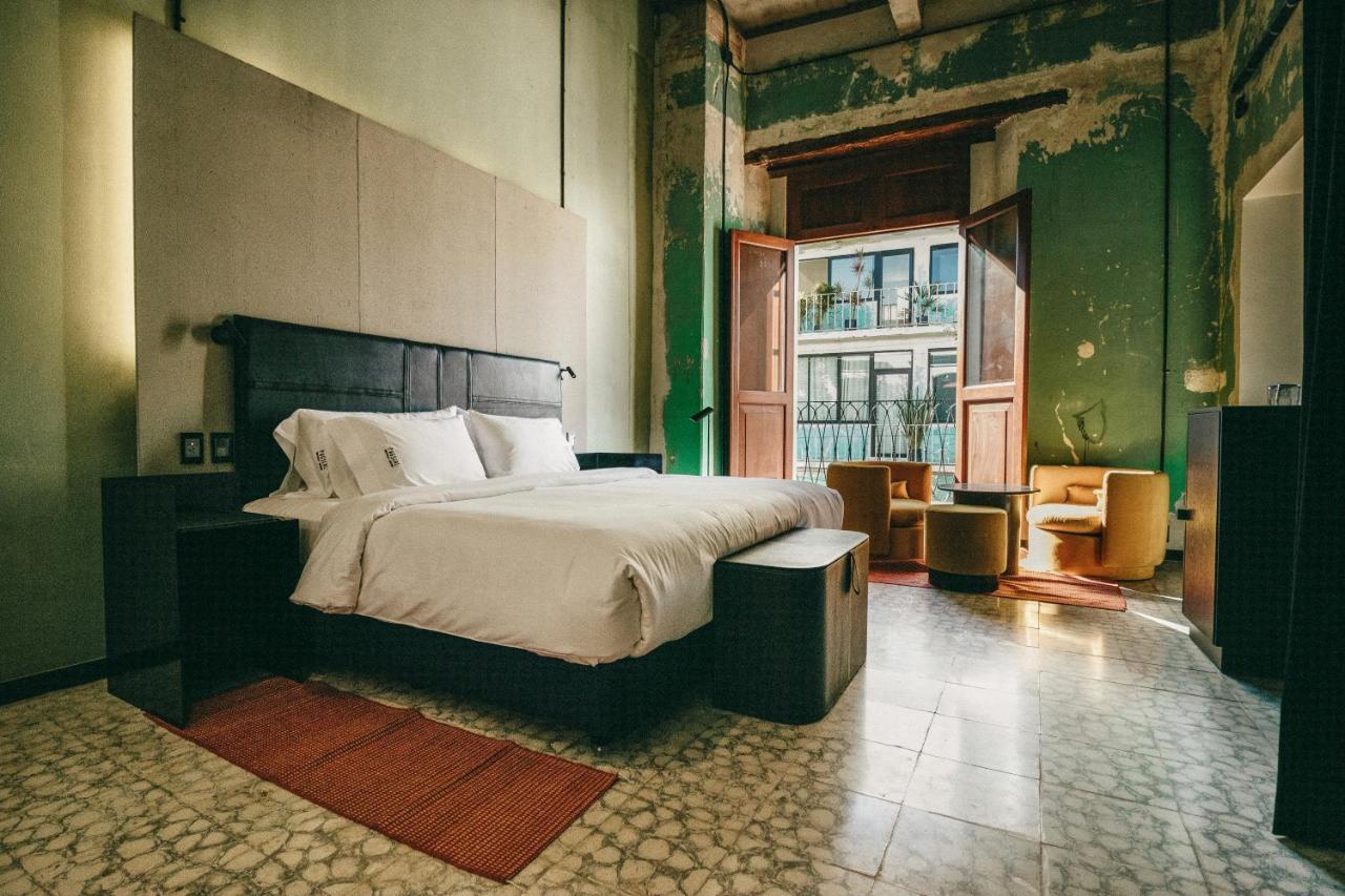 Pug Seal Hospitality Boutique in Oaxaca