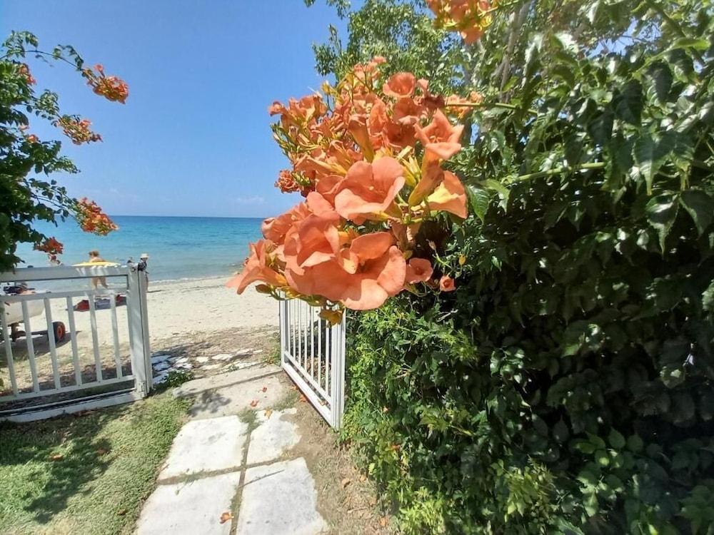 Greek Pride Evlogia Seaside