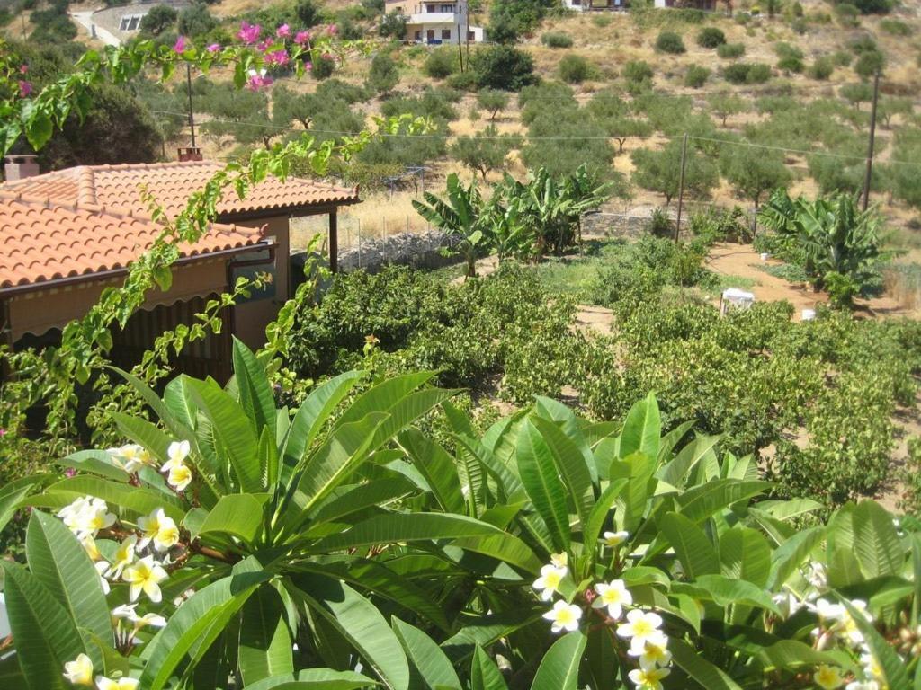 Mochlos Mare Apartments 