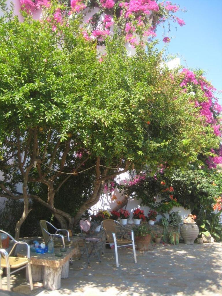Mochlos Mare Apartments 