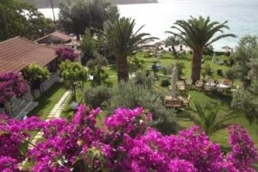 Angeliki 1 * - pic #1