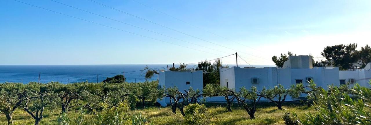 Studios Crete 