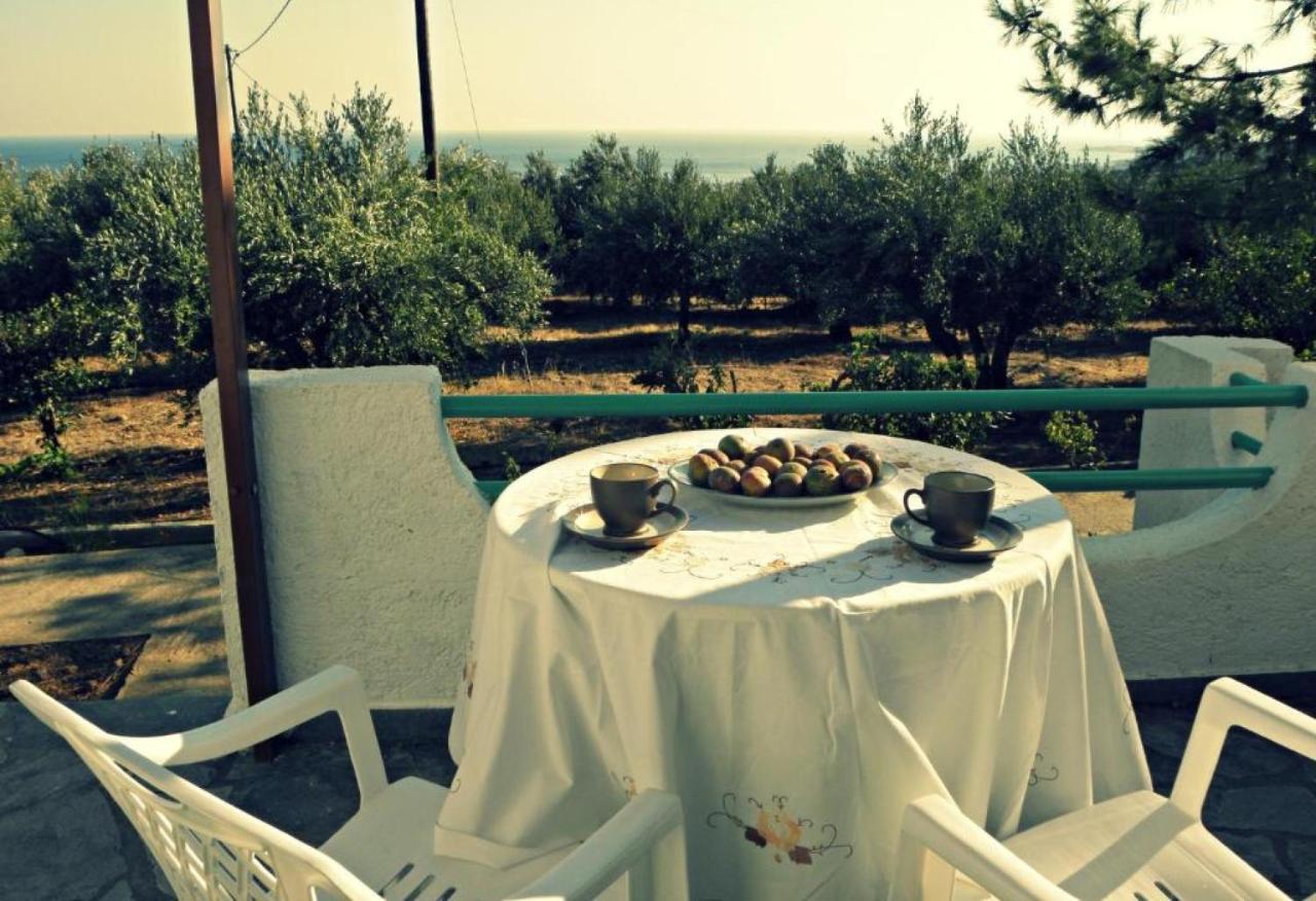 Studios Crete 