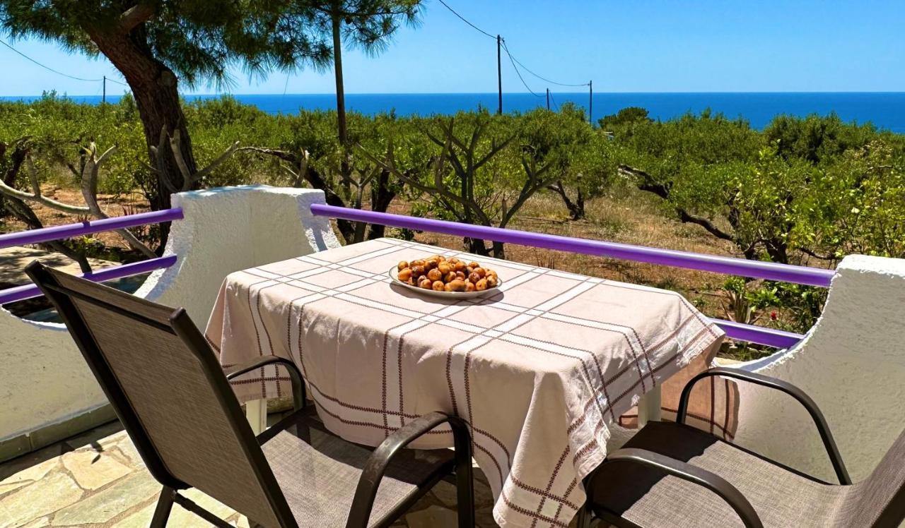 Studios Crete 