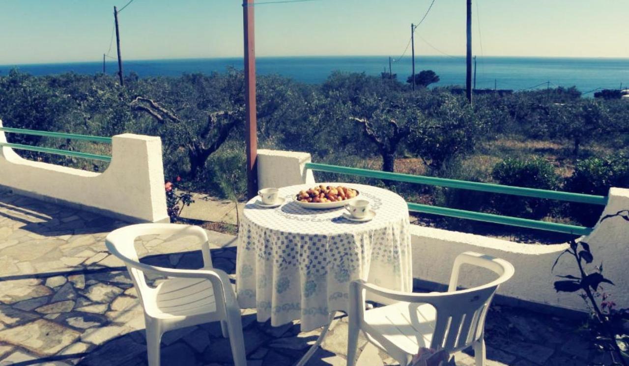 Studios Crete 