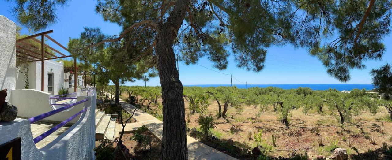 Studios Crete 