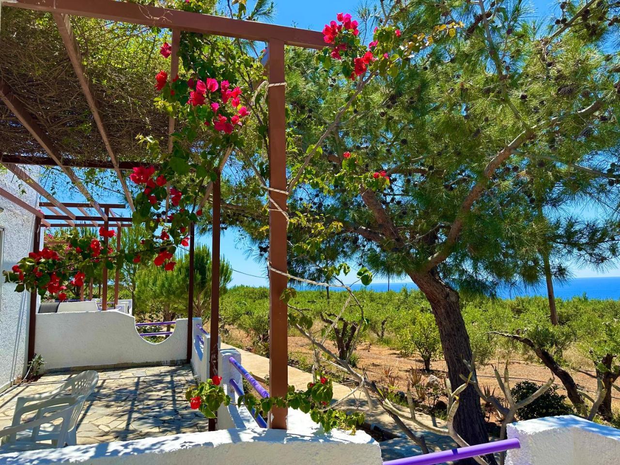 Studios Crete 