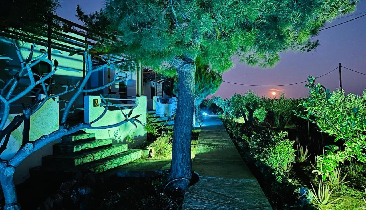 Studios Crete 