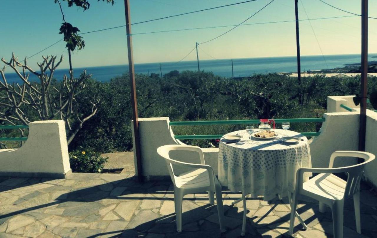 Studios Crete 