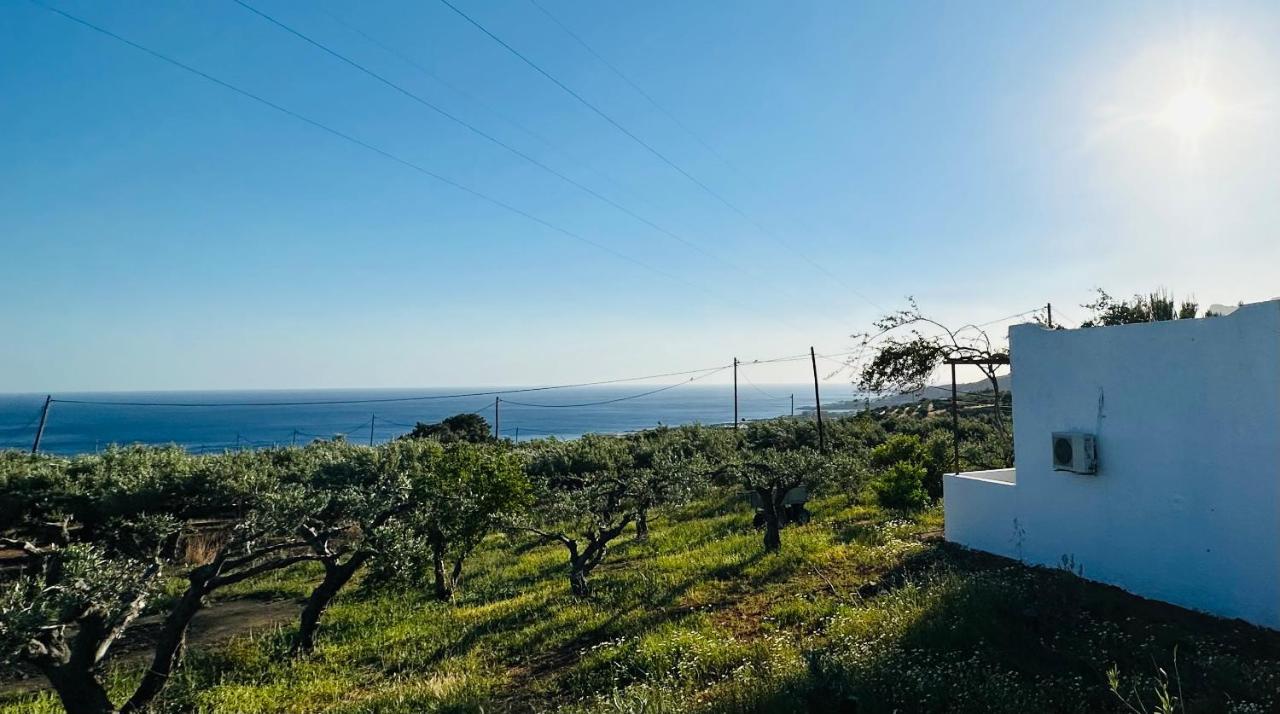 Studios Crete 