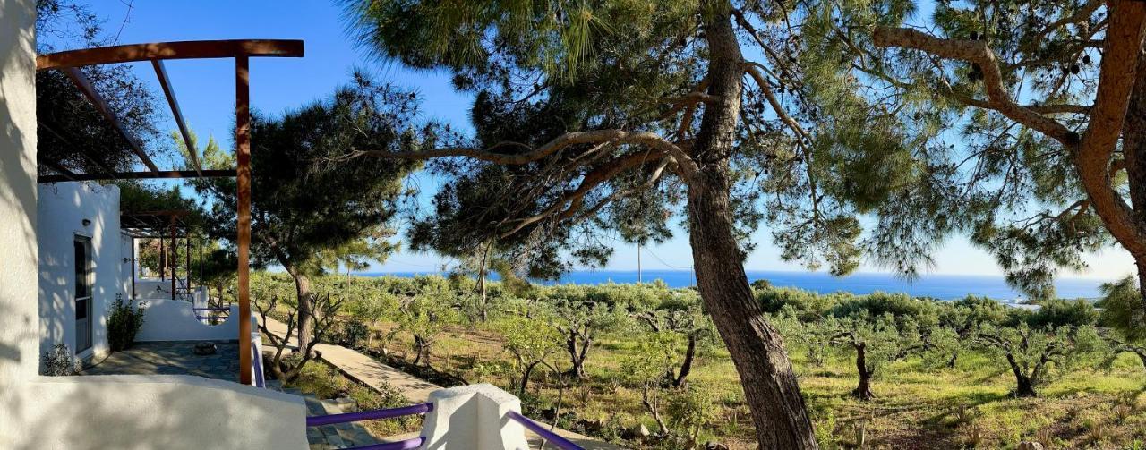 Studios Crete 