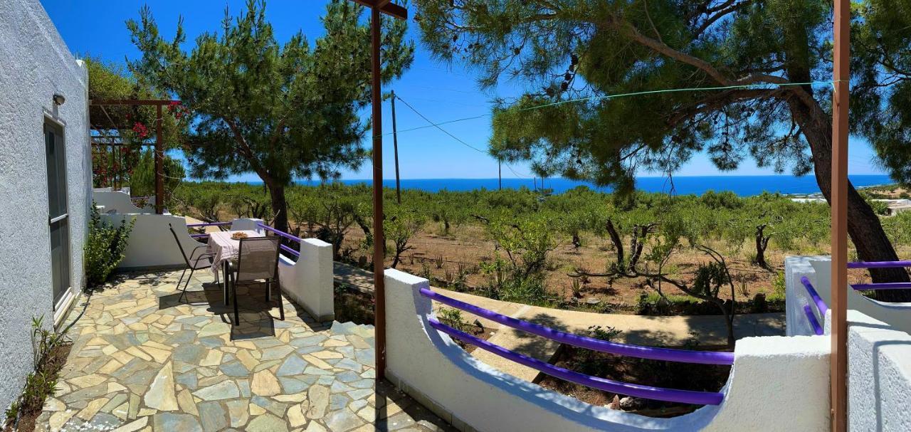 Studios Crete 