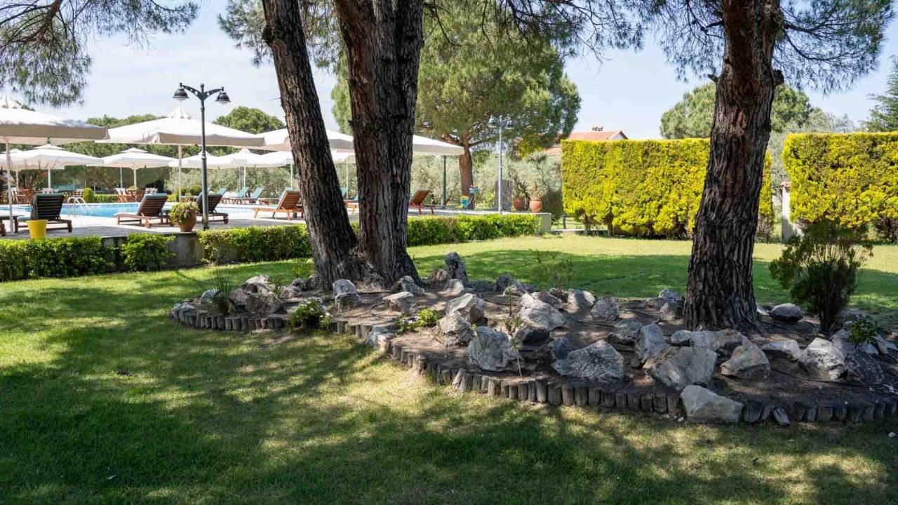 Alexandros Hotel Apartments 3 * - pic #3