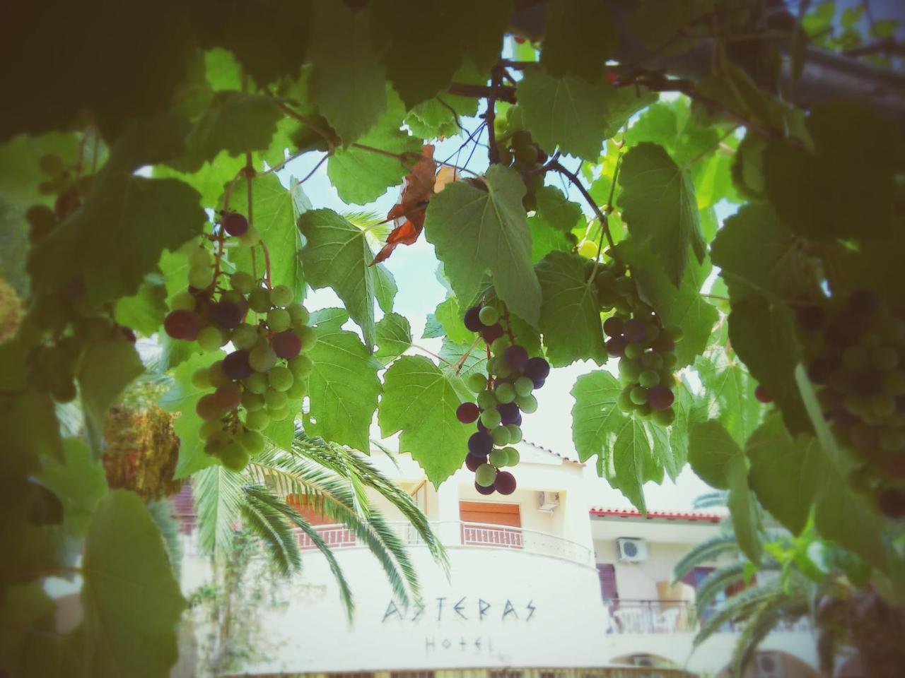 Asteras Hotel 2 * - pic #16