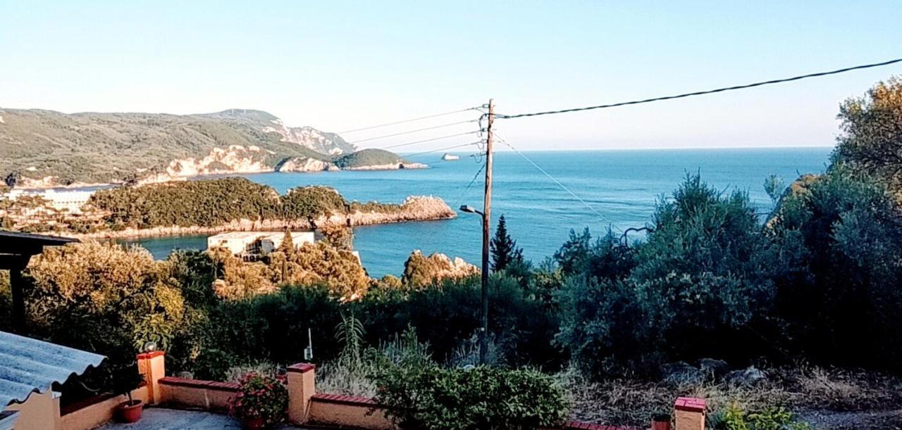 Vassilis 