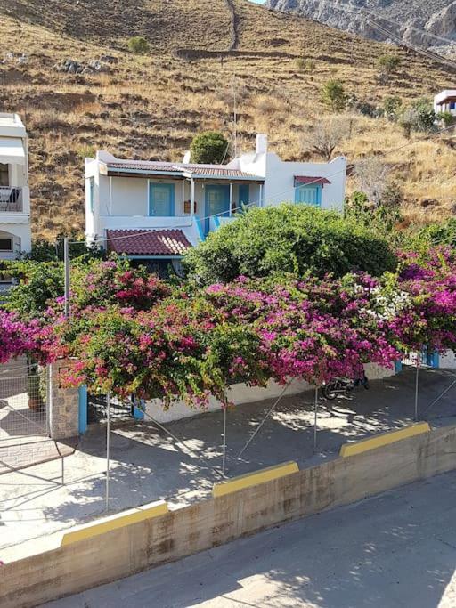 Sevasti Studios Eborios Kalymnos in Kalymnos-island
