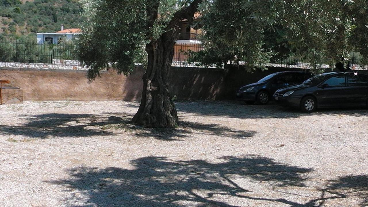 Villa Maro 