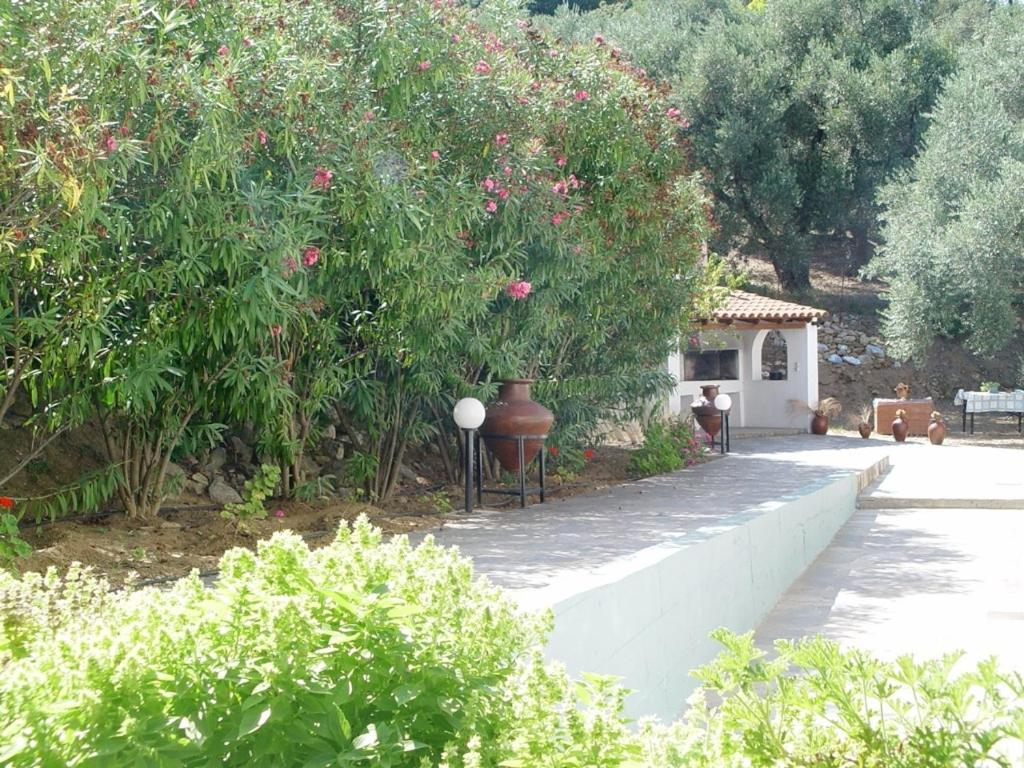 Villa Maro 