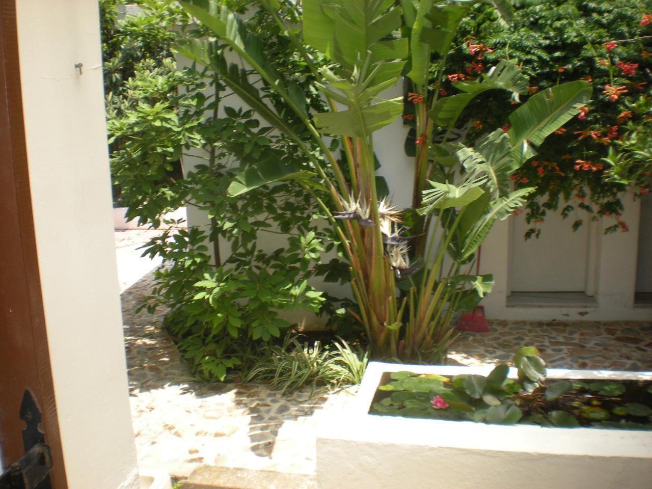 Manolis\' House 