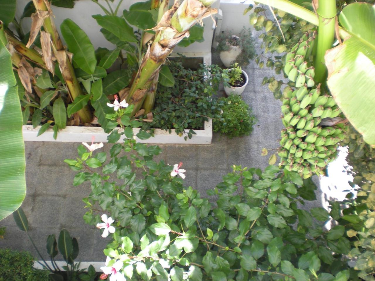 Manolis\' House 