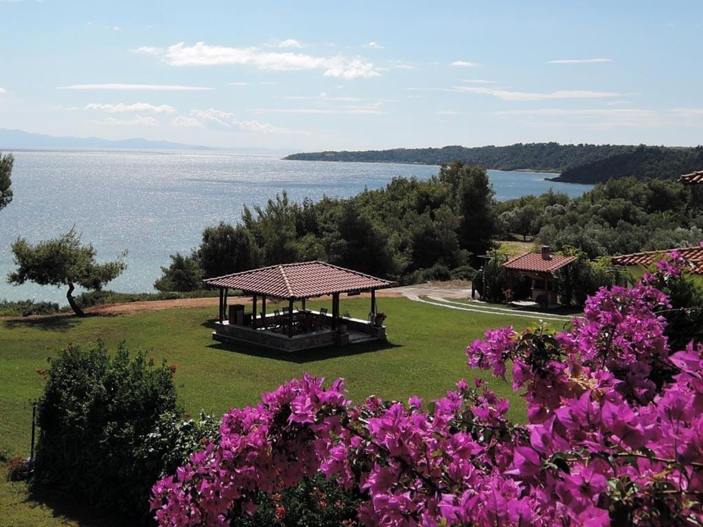 Villa Oasis 