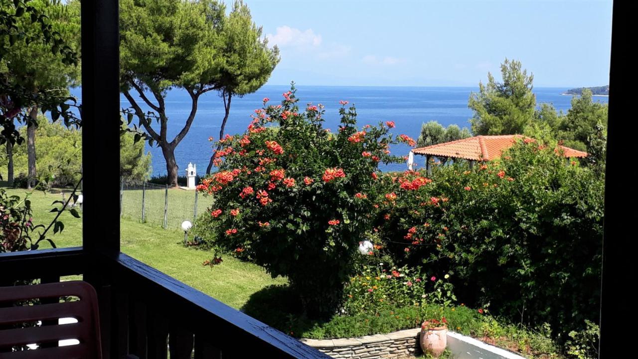 Villa Oasis 