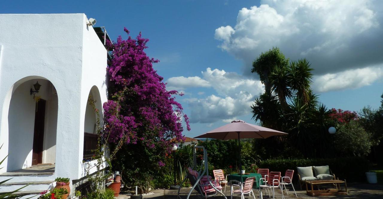 Villa Oasis 