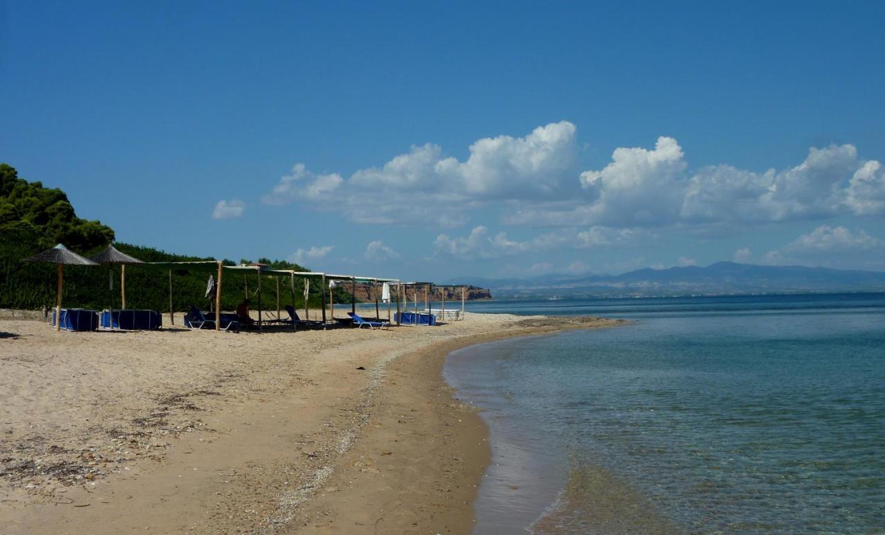 Villa Oasis 