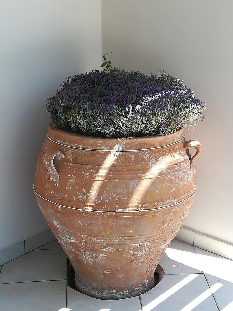 Ktima Grammeno 
