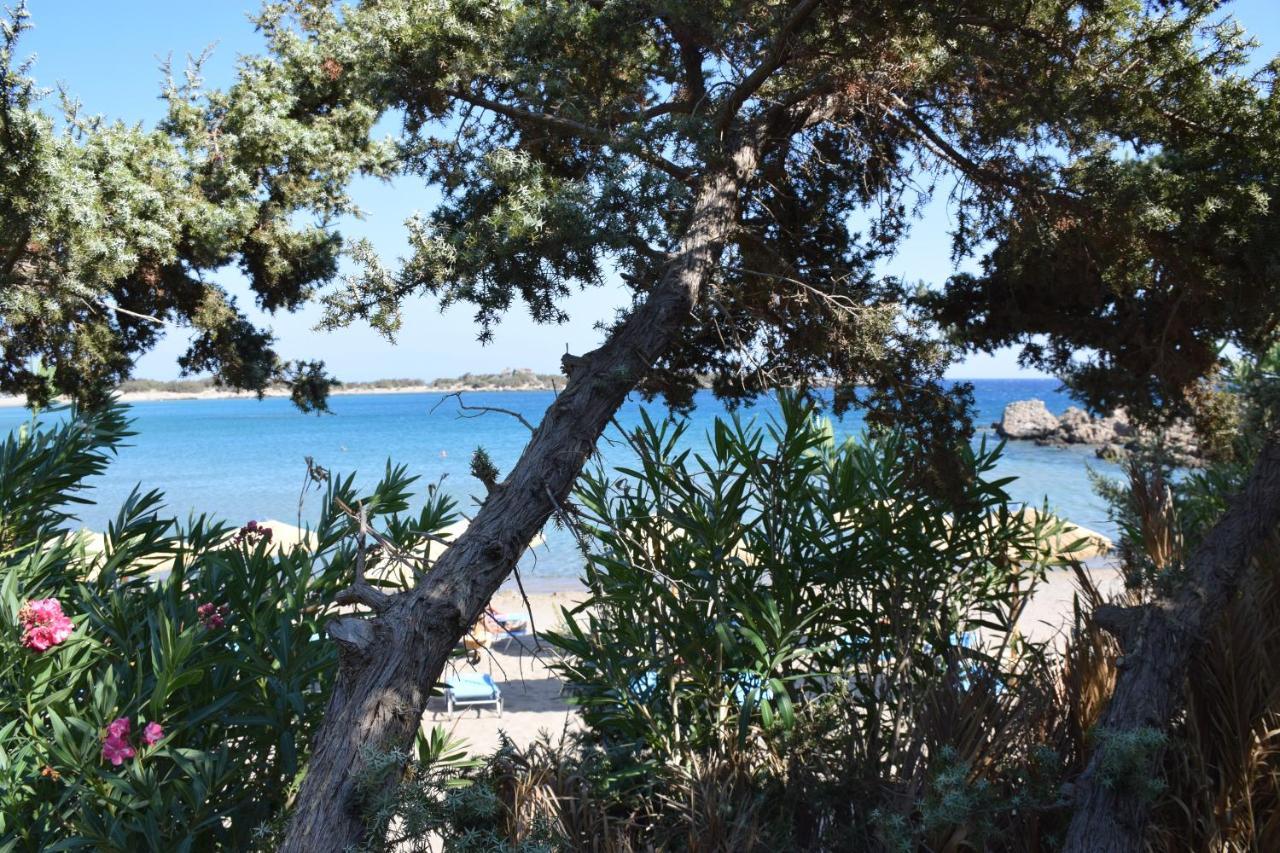 Ktima Grammeno 