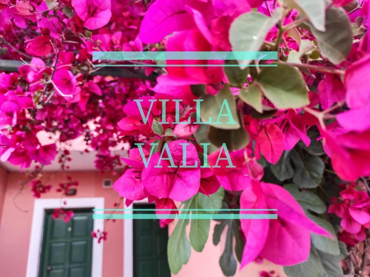 Villa Valia 