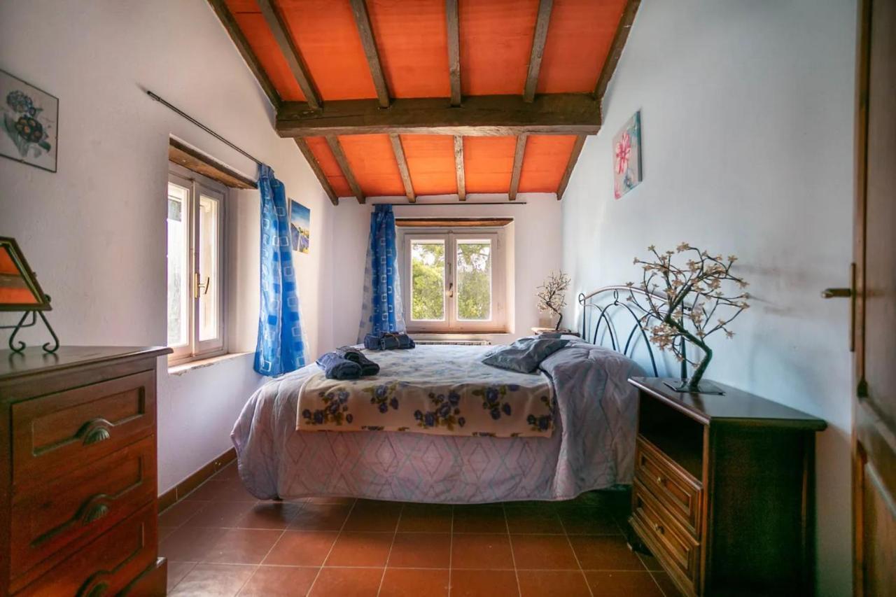 La Pieve - Gerani em Magliano-in-toscana